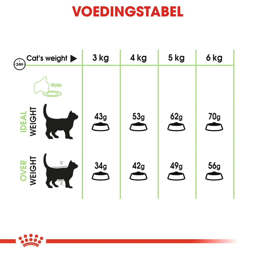 Royal Canin Digestive Care Kattenvoer 4kg 14 Royal Canin Digestive Care Kattenvoer 4kg - Image 12