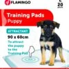 Flamingo Trainingsmat Pady L 20st Lokstof 90x60cm -Pets Care Verkoop 02ffe362b04a03551d74b41e849ae688cb6cfcaab8dc2c6b516cb8870e3a0587