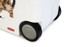 Curver Voedselcontainer Kat 35 Ltr -Pets Care Verkoop 0412026 det5