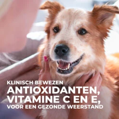 Hill's Science Plan Culinary Creations Eend En Aardappel Medium Hond 14kg -Pets Care Verkoop 052742054735 7 NL