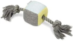 Beeztees Puppy Kubus Kubi Met Touw