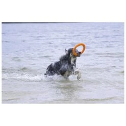 Beeztees Apportino Ring 8 Beeztees Apportino Ring -Pets Care Verkoop 0625883 2