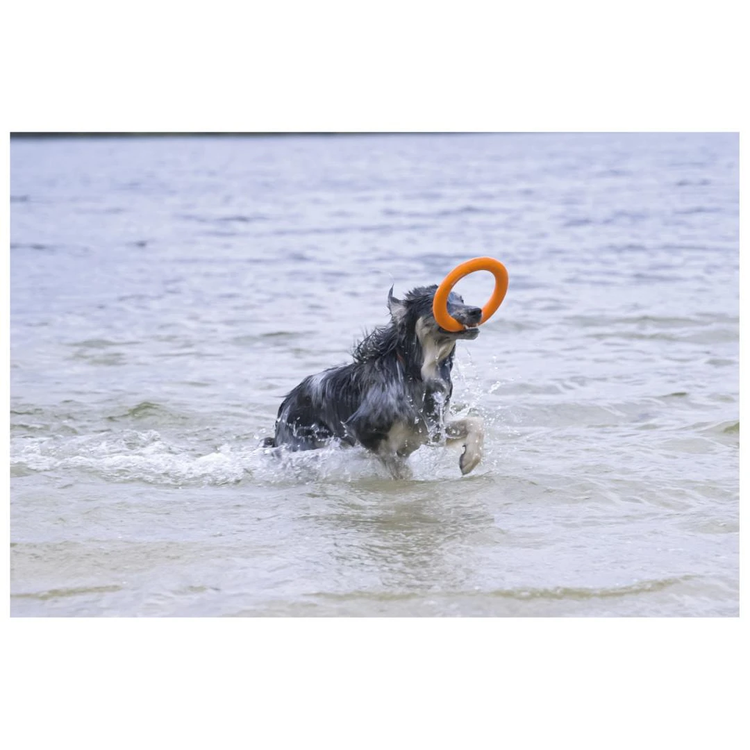 Beeztees Apportino Ring 5 Beeztees Apportino Ring - Image 3