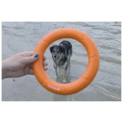 Beeztees Apportino Ring 9 Beeztees Apportino Ring -Pets Care Verkoop 0625883 3