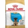 Royal Canin German Shepherd/Duitse Herder Puppy - Hondenvoer - 3kg -Pets Care Verkoop 17c54121c671f6cdfe28f38823b7d555834d2ee0902018a53cc90ac4abfd285e