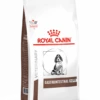 Royal Canin Gastro Intestinal Junior - Hondenvoer - 10kg -Pets Care Verkoop 1bb5230cc5f95fbdaa8e5d8e0a5c849c13a981ec605d5d2ad37823d4c3a8926c