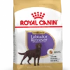 Royal Canin Labrador Retriever Sterilised Adult Hond 12kg -Pets Care Verkoop 2f4906f6d774e6a8d511d3f0acc883fd0ee49f326d350f0f9a0f516a632bc5eb