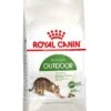 Royal Canin Kattenvoer Outdoor 4 Kg -Pets Care Verkoop 3182550707381