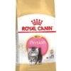 Royal Canin Kattenvoer Persian Kitten 10 Kg 1 Royal Canin Kattenvoer Persian Kitten 10 Kg -Pets Care Verkoop 3182550721233