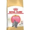 Royal Canin Kattenvoer British Shorthair Kitten 2 Kg -Pets Care Verkoop 3182550816533