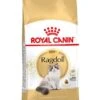 Royal Canin Kattenvoer Ragdoll Adult 2 Kg