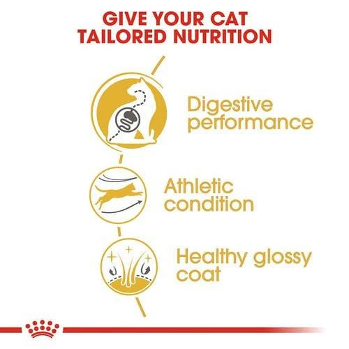Royal Canin Kattenvoer Bengal Adult 2 Kg 4 Royal Canin Kattenvoer Bengal Adult 2 Kg - Image 2