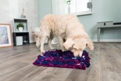 TRIXIE Dog Activity Snuffelmat -Pets Care Verkoop 32037 21