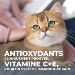 Hill's Science Plan Young Adult Sterilised - Tonijn - 3kg 26 Hill's Science Plan Young Adult Sterilised - Tonijn - 3kg -Pets Care Verkoop 3b73322466d898b24006c18ff33ab804bfefa72083639901175012c872fc160b