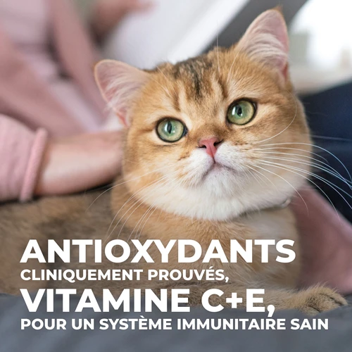 Hill's Science Plan Young Adult Sterilised - Tonijn - 3kg 14 Hill's Science Plan Young Adult Sterilised - Tonijn - 3kg - Image 12