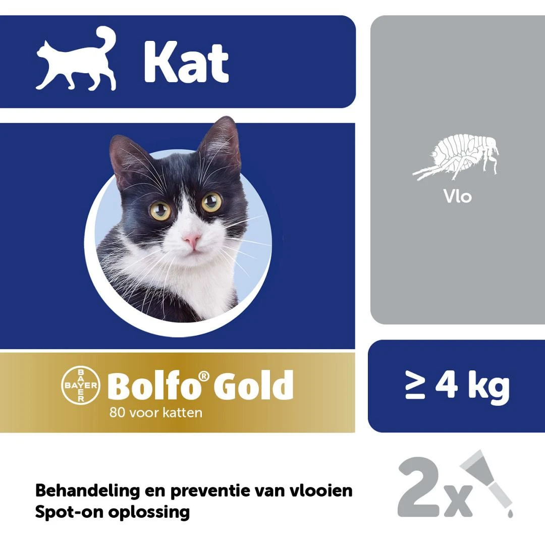 Bolfo Gold 80 Kat 2 Pipetten 4 Bolfo Gold 80 Kat 2 Pipetten - Image 2
