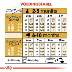 Royal Canin Pug/Mopshond Puppy - Hondenvoer - 1,5kg -Pets Care Verkoop 4181876dc67cd1e1b53782f72aee97443b6b490bccb7cb998a8433f3fc52c6a8 1