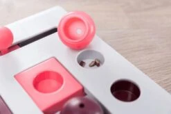 TRIXIE Cat Activity Brain Mover -Pets Care Verkoop 4596 2