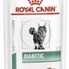 Royal Canin Diabetic Kat 12x 85g