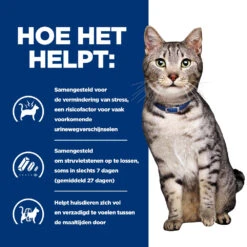 Hill's Prescription Diet C/d Multicare Stress + Metabolic Kattenvoer Met Kip 8kg -Pets Care Verkoop 52742037417 3 NL