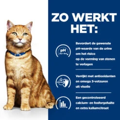 Hill's Prescription Diet C/d Multicare Urinary Care Kattenvoer Met Kip 12kg 11 Hill's Prescription Diet C/d Multicare Urinary Care Kattenvoer Met Kip 12kg -Pets Care Verkoop 52742042121 2 NL 1