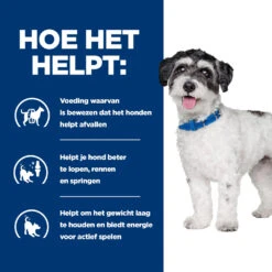 Hill's Prescription Diet Metabolic + Mobility Mini Weight Management Hondenvoer Met Kip 3kg -Pets Care Verkoop 52742045269 3 NL