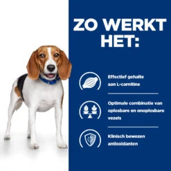 Hill's Hill’s Prescription Diet R/D – Hondenvoer Met Kip – 4kg -Pets Care Verkoop 52742047256 2 NL