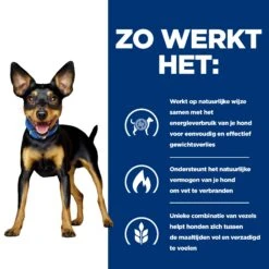 Hill's Prescription Diet Metabolic Kip- En Groentenstoofpotje Voor Hond 24x156g -Pets Care Verkoop 52742047331 2 NL