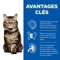 Hill's Hill’s Science Plan Mature Adult Hairball & Indoor Kip 1,5kg -Pets Care Verkoop 52742761008 3 science plan chat hairball indoor chat g interieur croquettes poulet.jpg