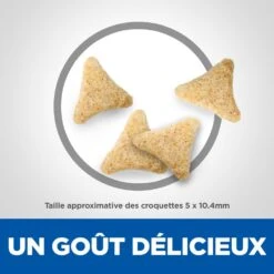 Hill's Hill’s Science Plan Mature Adult Hairball & Indoor Kip 1,5kg -Pets Care Verkoop 52742761008 4 science plan chat hairball indoor chat g interieur croquettes poulet