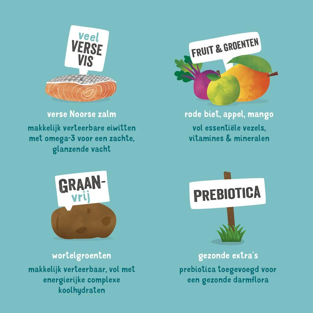 Edgard & Cooper Hondenvoer Adult Noorse Zalm 12 Kg 5 Edgard & Cooper Hondenvoer Adult Noorse Zalm 12 Kg - Image 3