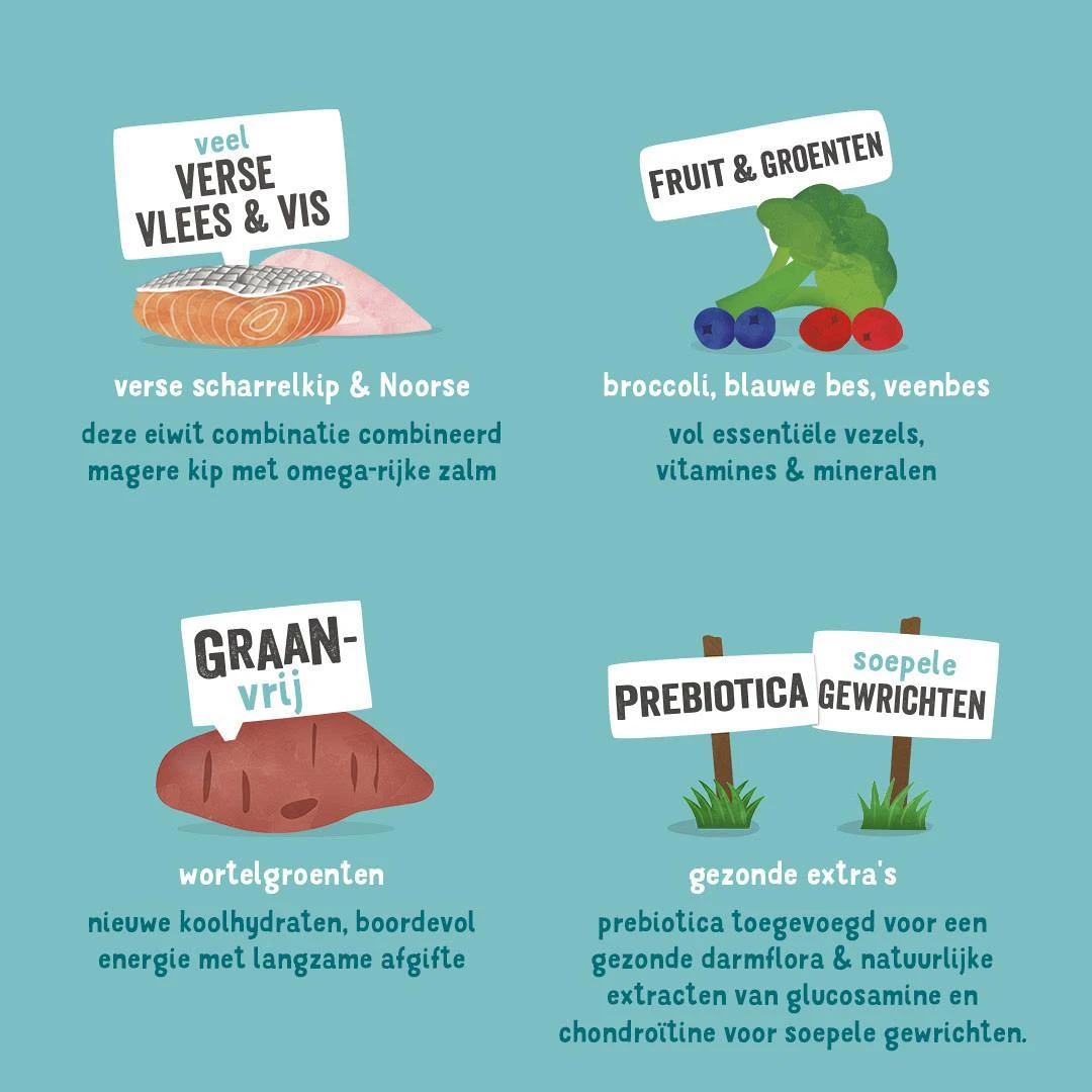 Edgard & Cooper Hondenvoer Senior Kip En Zalm 2,5 Kg 5 Edgard & Cooper Hondenvoer Senior Kip En Zalm 2,5 Kg - Image 3