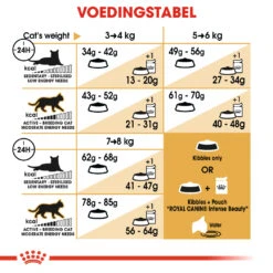 Royal Canin Ragdoll 2kg -Pets Care Verkoop 57b1cc2a37b56bef86fec3509d51bfdc4dfce95ade44c2d90e53eedb920dac80 1