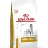 Royal Canin Urinary S/o Ageing 7+ Hond 3,5kg 2 Royal Canin Urinary S/o Ageing 7+ Hond 3,5kg -Pets Care Verkoop 6b66c43453766f21befe477ba92286e718dd2c861e70c794596c1c8c369938e5 2