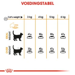 Royal Canin Hair & Skin Care Kattenvoer 4kg 25 Royal Canin Hair & Skin Care Kattenvoer 4kg -Pets Care Verkoop 6cd71a60ba99f8570764bedbf54b2943681113398a4dc2074f443d0e11a6fff9 1