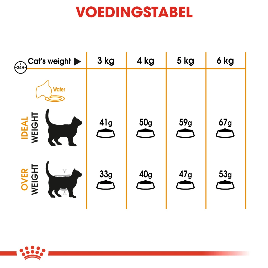 Royal Canin Hair & Skin Care Kattenvoer 4kg 14 Royal Canin Hair & Skin Care Kattenvoer 4kg - Image 12