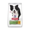 Hill's Science Plan Mature Adult 7+ Senior Vitality Medium Hondenvoer Met Kip & Rijst 2,5kg -Pets Care Verkoop 70ce6ca7b7b4552d67e85fff2e21e635ea2039a24b4a6e97532024c38c67fb41