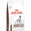 Royal Canin Hepatic - Hondenvoer - 6kg -Pets Care Verkoop 710bde77761f6cba6ae33d6c73e27ce306d228db018021c24ce3464aafc26d3f
