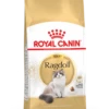 Royal Canin Ragdoll 2kg 2 Royal Canin Ragdoll 2kg -Pets Care Verkoop 78f149d401e1b62ba1cdefe4ed01e38ca89576f0ae5f4d0f8febc7ef763b32af