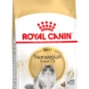 Royal Canin Norwegian Forest Cat Adult Kat 10kg 2 Royal Canin Norwegian Forest Cat Adult Kat 10kg -Pets Care Verkoop 7c183fb94b2f86e88aefbe5b81fed6bccc751578b0f11218b5017a39767af018