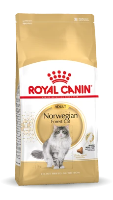 Royal Canin Norwegian Forest Cat Adult Kat 10kg