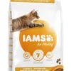 IAMS Kattenvoer Adult Hairball Chicken 3 Kg 1 IAMS Kattenvoer Adult Hairball Chicken 3 Kg -Pets Care Verkoop 8710255150383 2