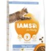 IAMS Kattenvoer Adult Dental Chicken 10 Kg 2 IAMS Kattenvoer Adult Dental Chicken 10 Kg -Pets Care Verkoop 8710255150505 2