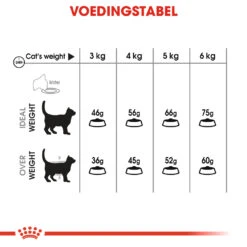 Royal Canin Dental Care Kattenvoer 1,5kg -Pets Care Verkoop 87cf17d147fbd085e4655802ded4226cb6e76488ebb3f98d72bdcf3c8ce16388
