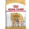 Royal Canin English Bulldog Adult - Hondenvoer - 12kg -Pets Care Verkoop 8c8c78d87b1d0bf11c750e1bba46513449c30176d2b658c17c574dd6e8e23fc6