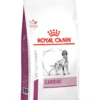 Royal Canin Cardiac 2 Kg -Pets Care Verkoop 8fca72d0ec2de32459335a2413727afbd29b31ee234d9524815f770ebfa3a91f 1