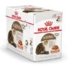 Royal Canin Kattenvoer Ageing 12+ In Gravy 12 X 85 Gr 1 Royal Canin Kattenvoer Ageing 12+ In Gravy 12 X 85 Gr -Pets Care Verkoop 9003579310175