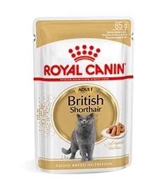 Royal Canin British Shorthair Adult Natvoer Kat 48x 85g