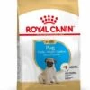 Royal Canin Pug/Mopshond Puppy - Hondenvoer - 1,5kg 1 Royal Canin Pug/Mopshond Puppy - Hondenvoer - 1,5kg -Pets Care Verkoop 99d32243857e6cbb8677ea6a83edd8a1d42014abd1f3b77e64512c0dcfbdf543