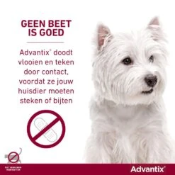 Advantix 400 4 Pipetten 9 Advantix 400 4 Pipetten -Pets Care Verkoop Advantix geenbeetisgoed 3